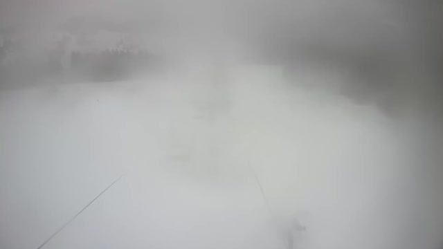 Webcam - Paseky nad Jizerou