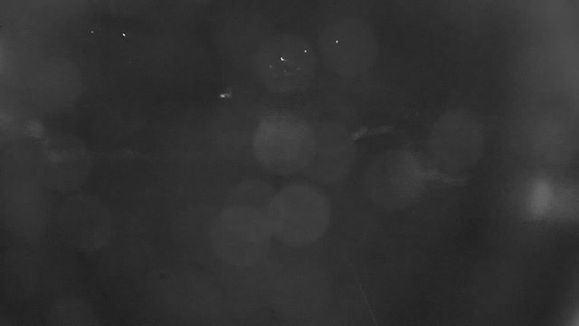 Webcam - Paseky nad Jizerou