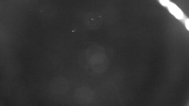 Webcam - Paseky nad Jizerou